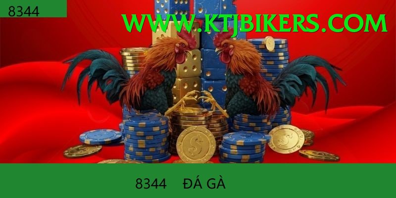 Trường Đấu Đá Gà Chuyên Nghiệp